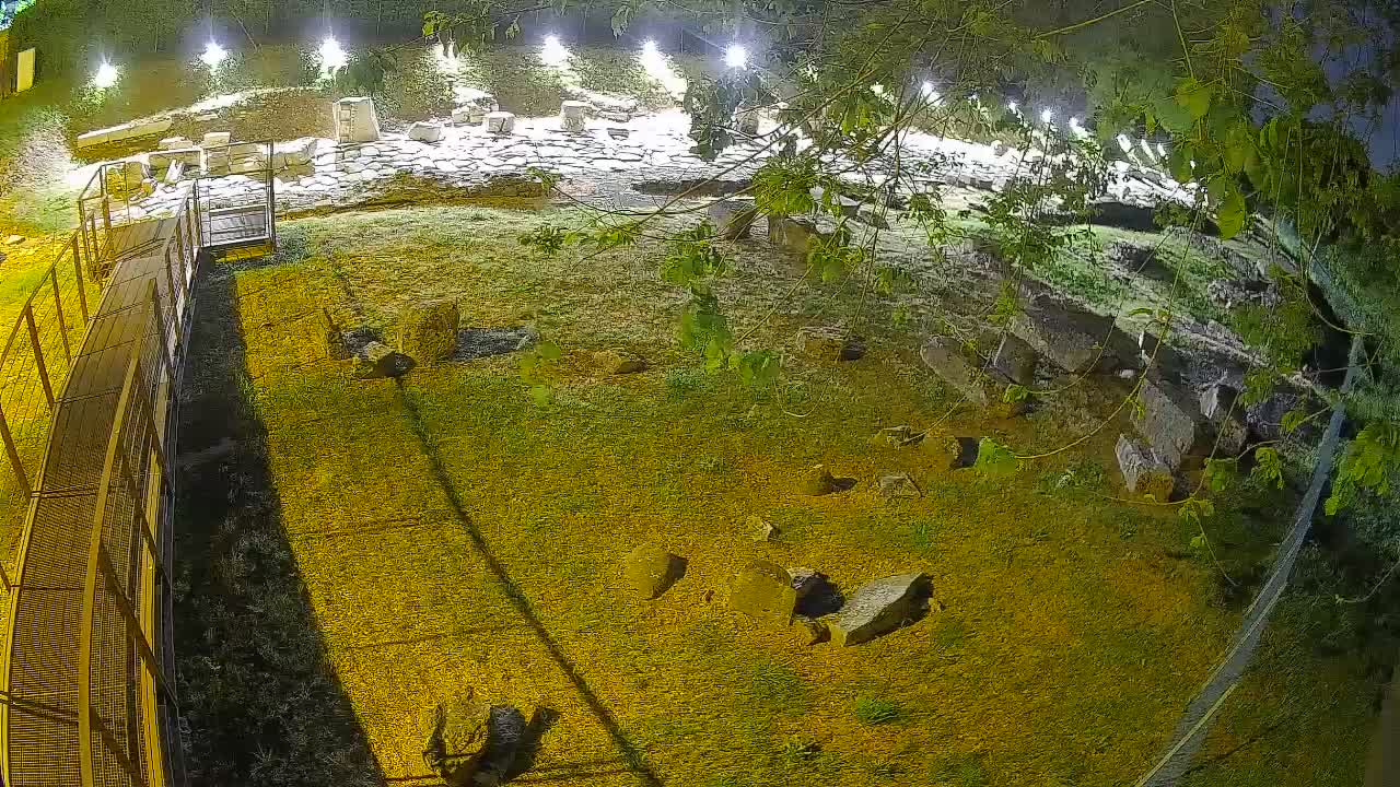 Aquileia – Decumano di Aratria Galla