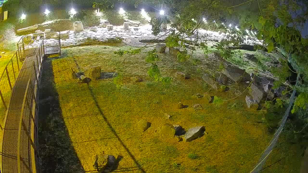 Oglej – Decumano Aratria Galla