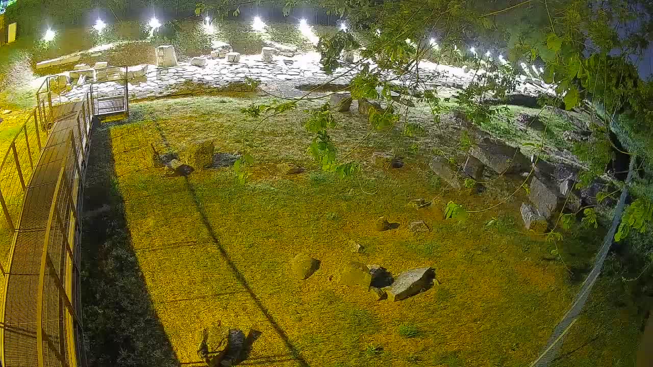 Aquileia – Decumano di Aratria Galla