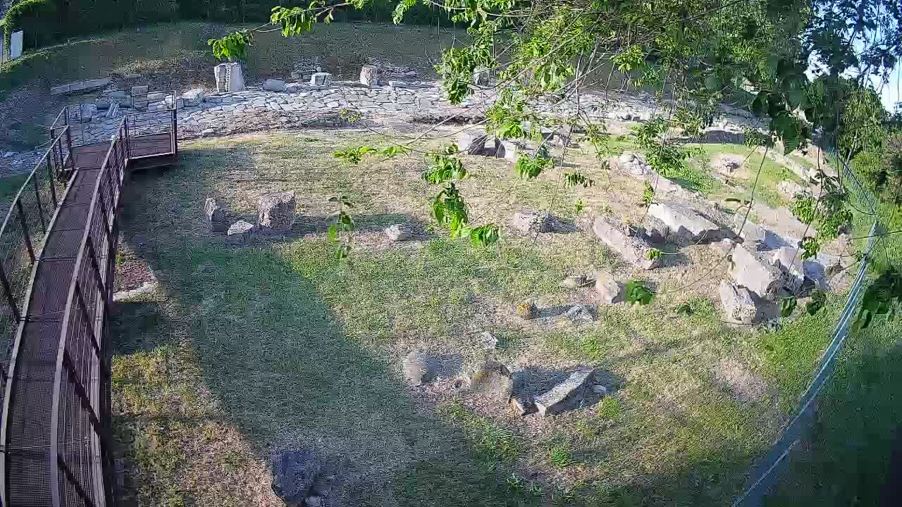 Aquileia – Decumano di Aratria Galla