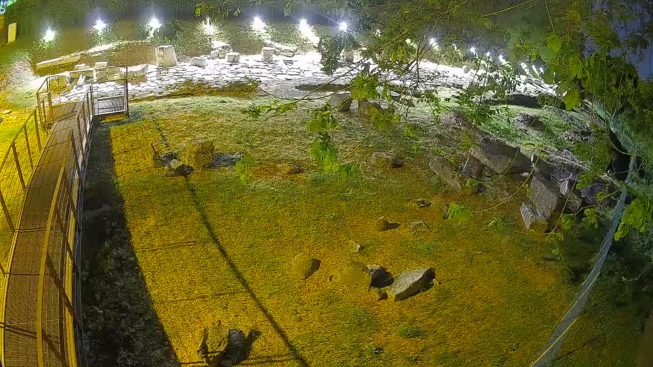 Aquileia – Decumano di Aratria Galla