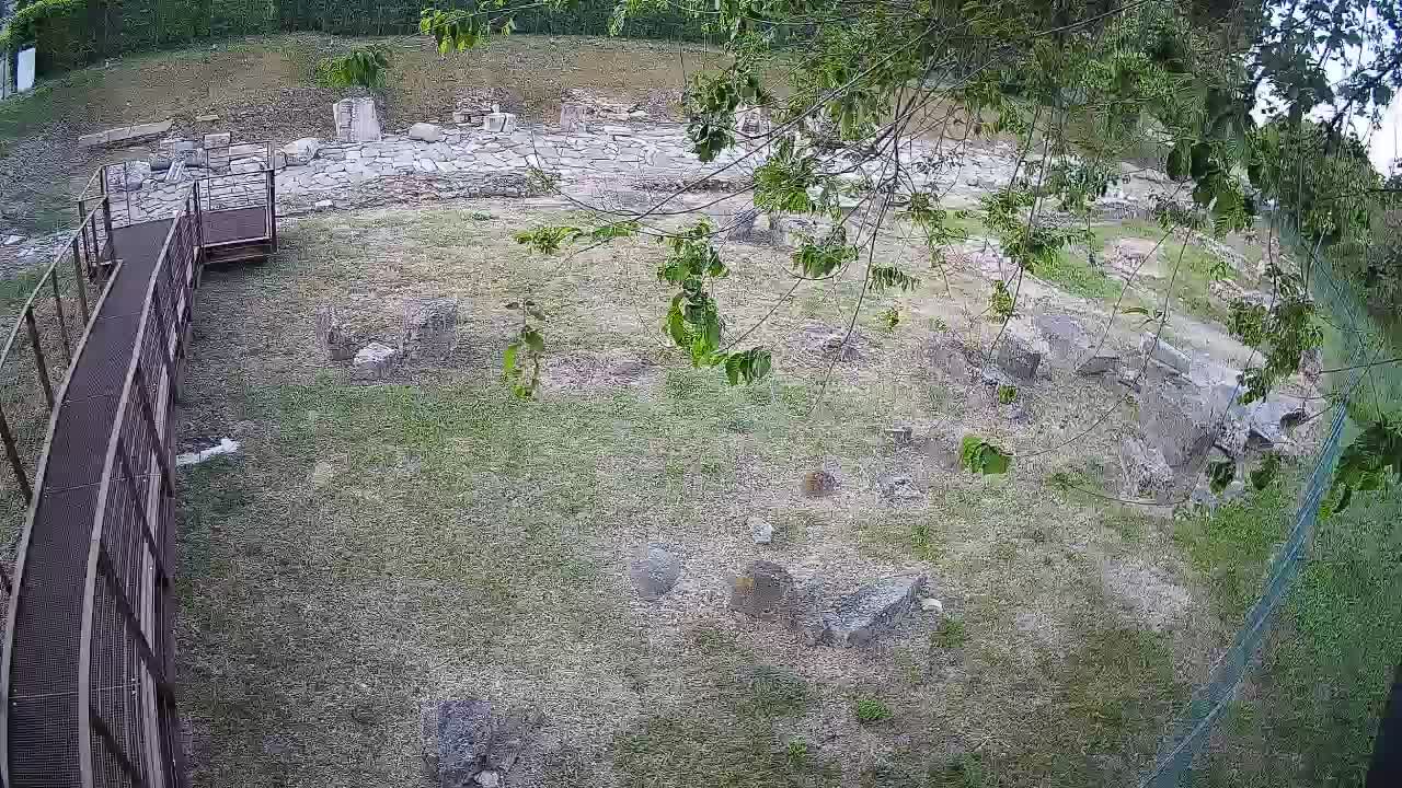 Aquileia – Decumano di Aratria Galla