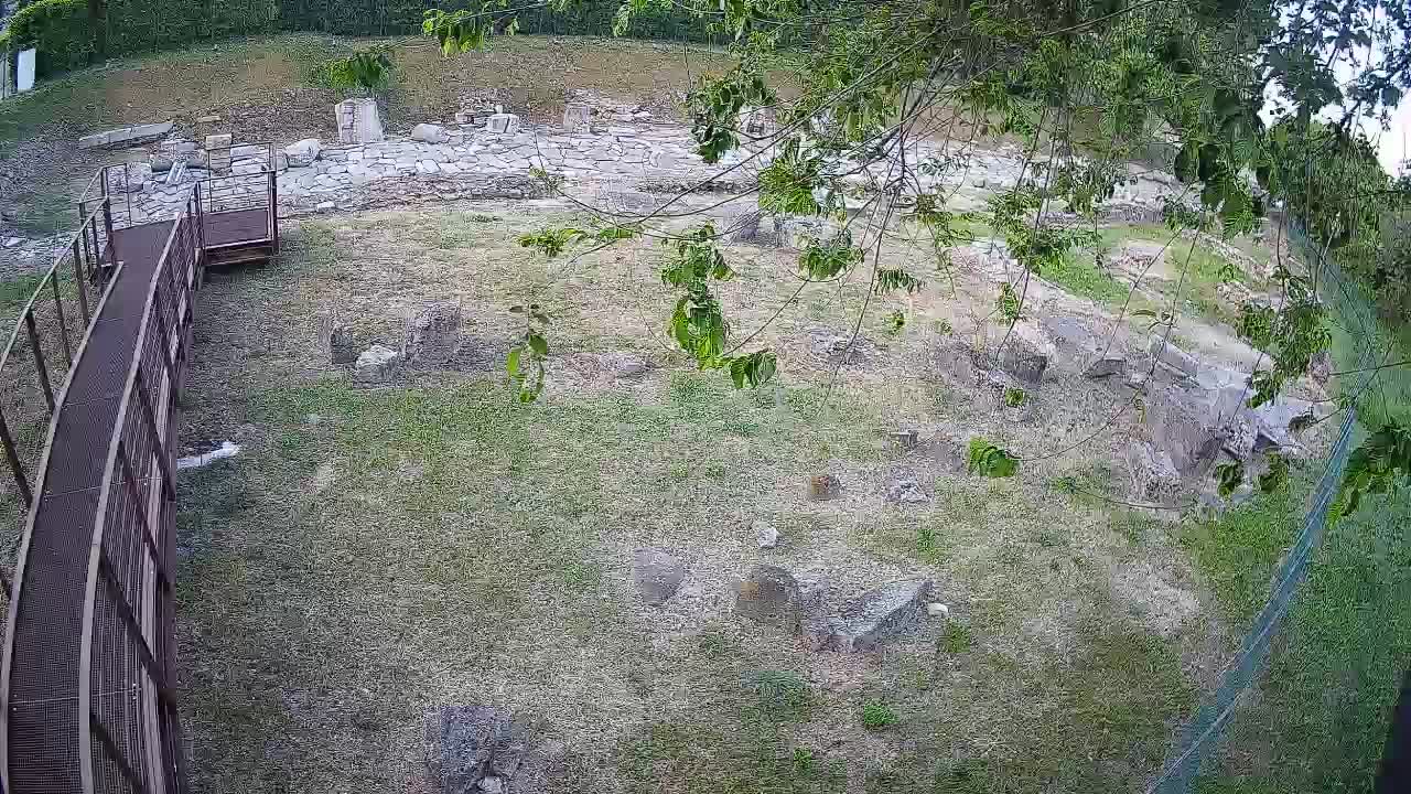Aquileia – Decumano di Aratria Galla