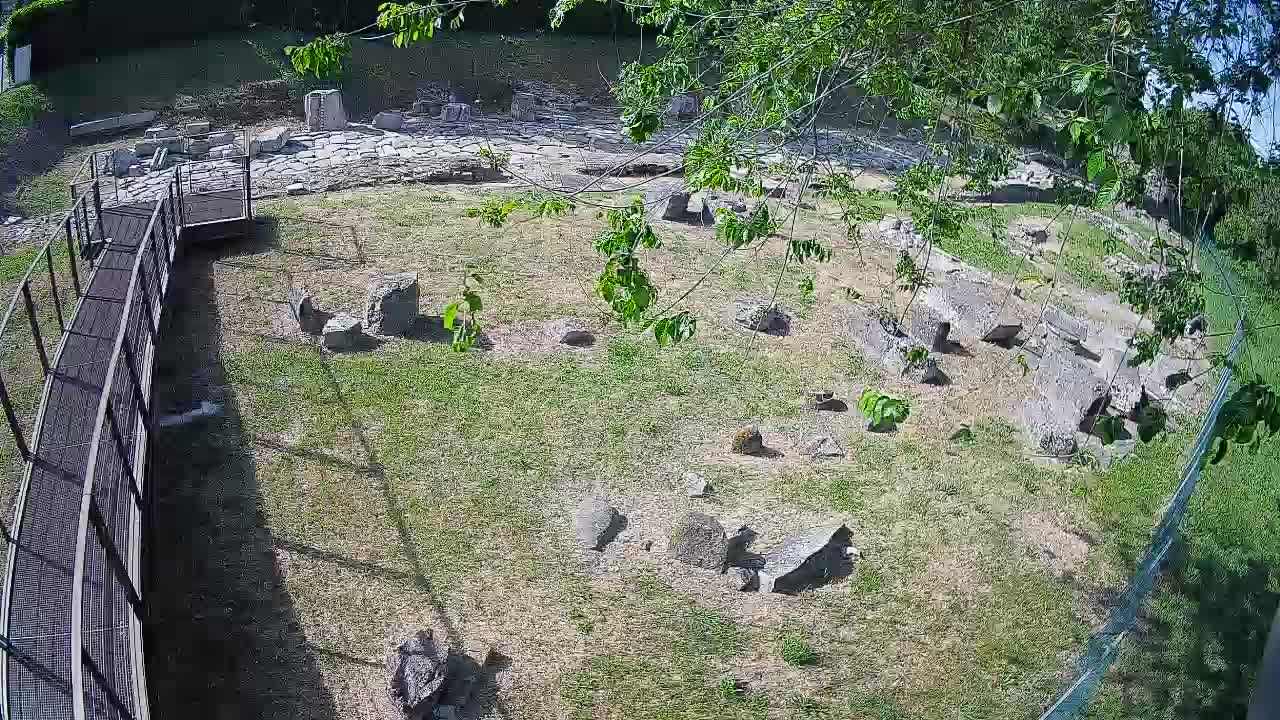 Aquileia – Decumano di Aratria Galla