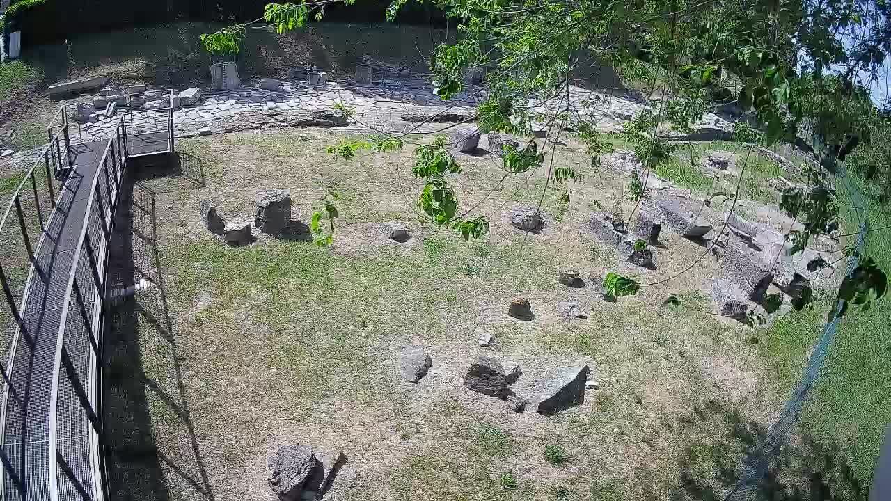 Aquileia – Decumano di Aratria Galla