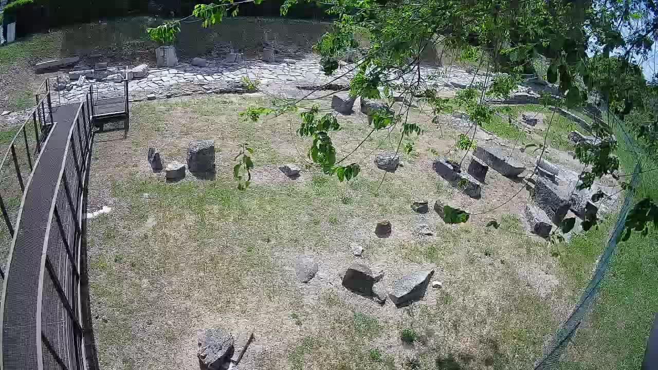 Aquileia – Decumano di Aratria Galla