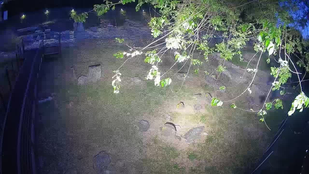 Aquileia – Decumano di Aratria Galla