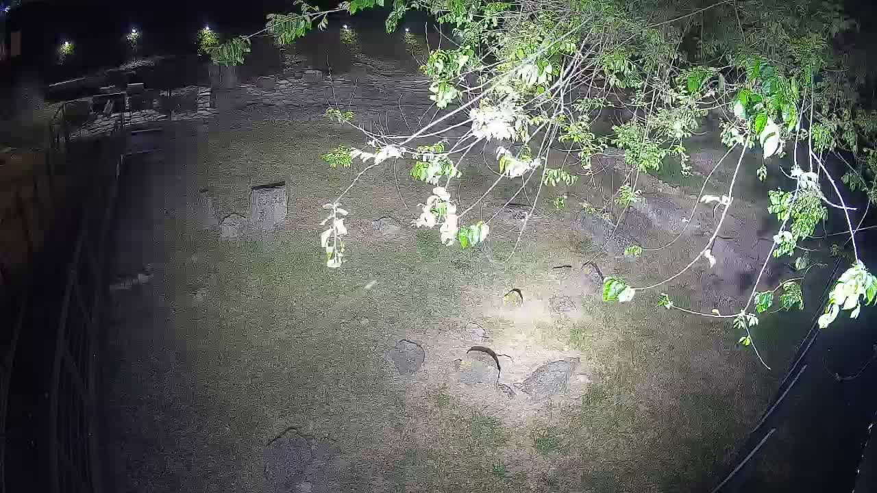 Aquileia – Decumano di Aratria Galla