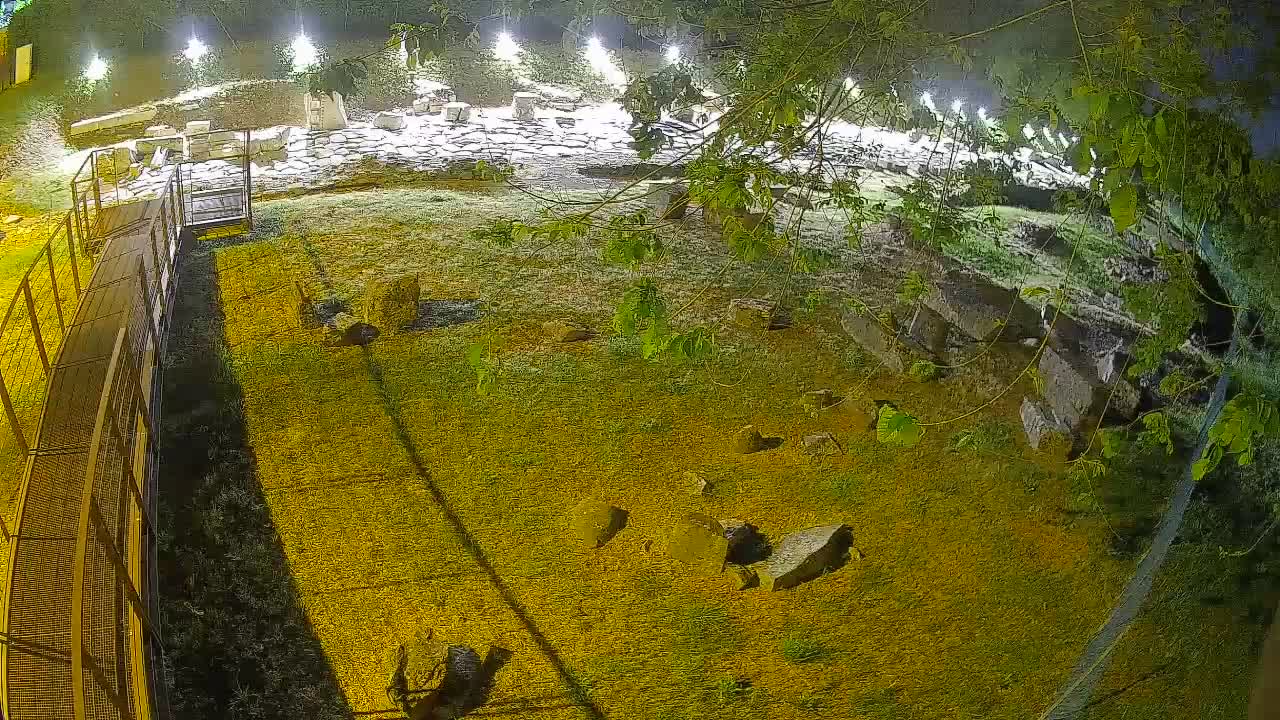 Aquileia – Decumano di Aratria Galla