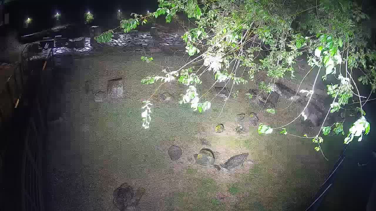 Aquileia – Decumano di Aratria Galla