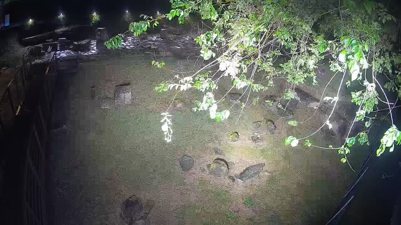 Aquileia – Decumano di Aratria Galla