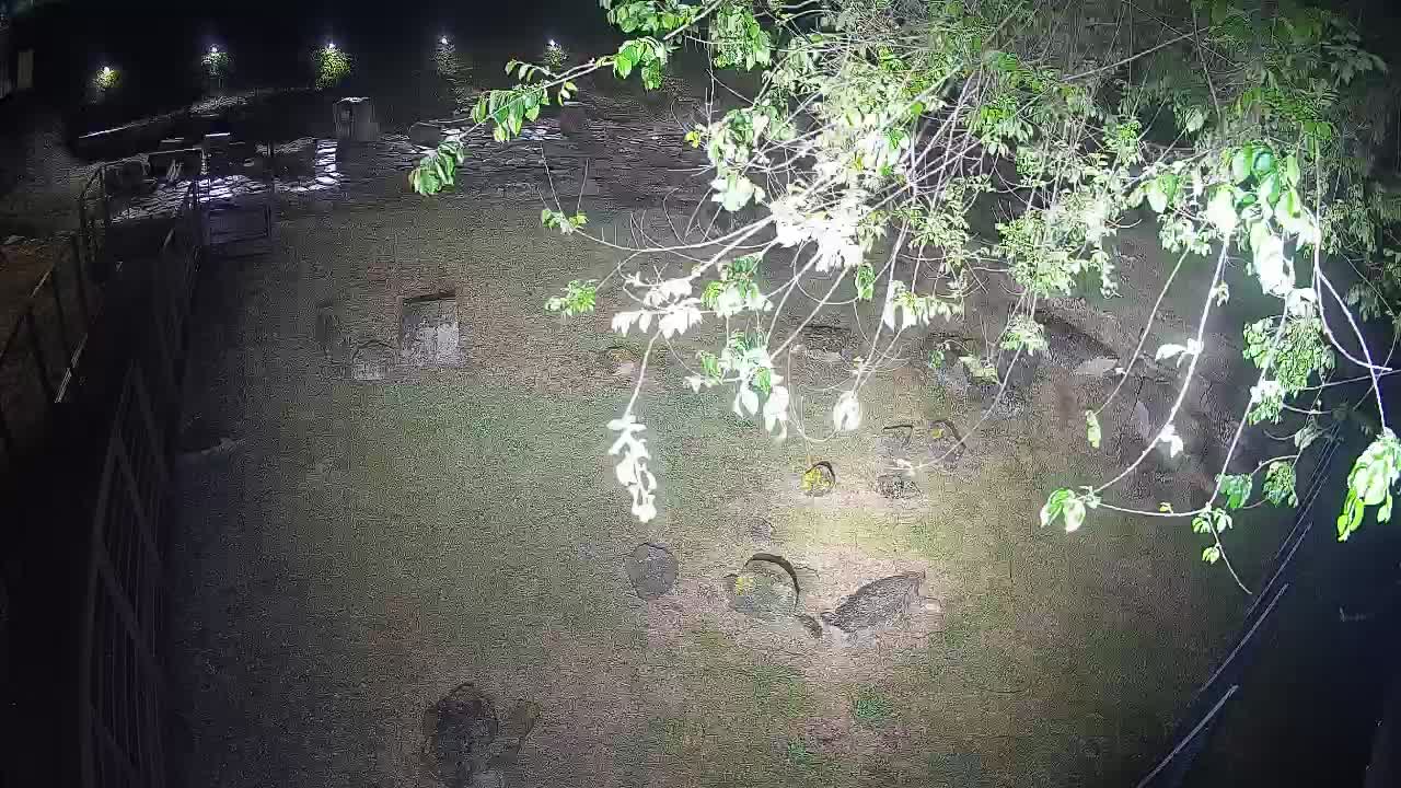 Aquileia – Decumano di Aratria Galla