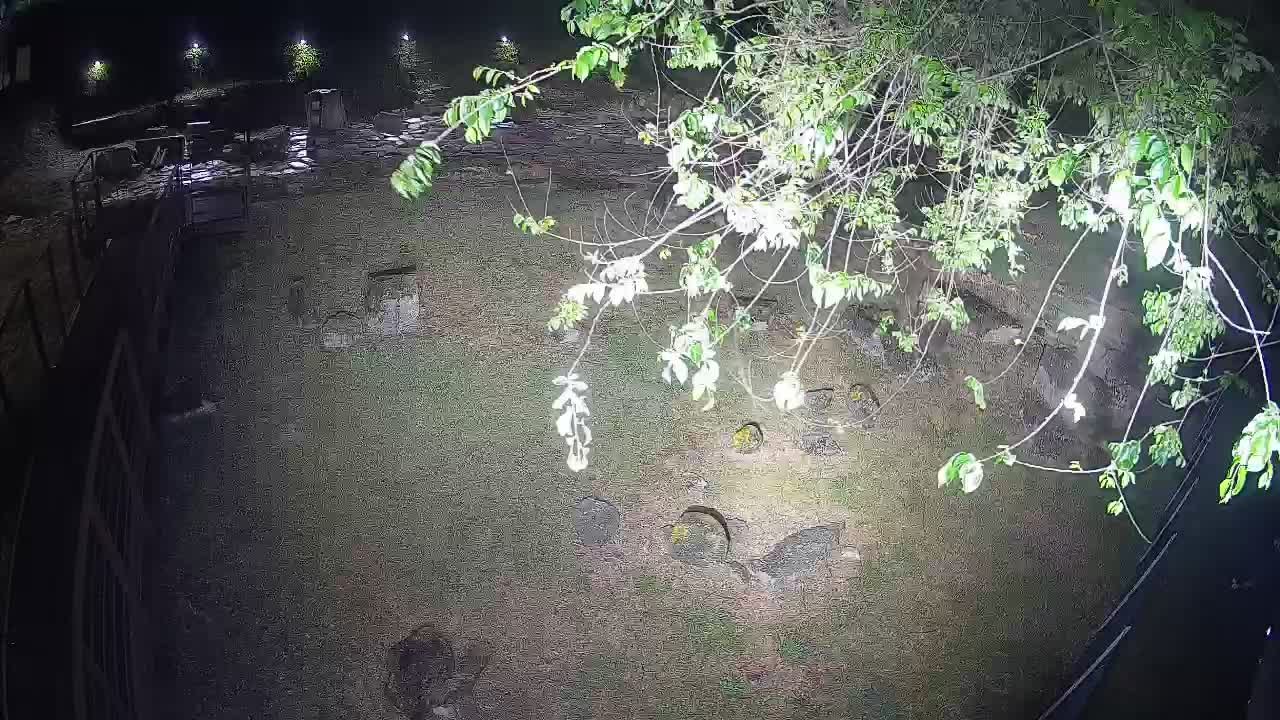 Aquileia – Decumano di Aratria Galla