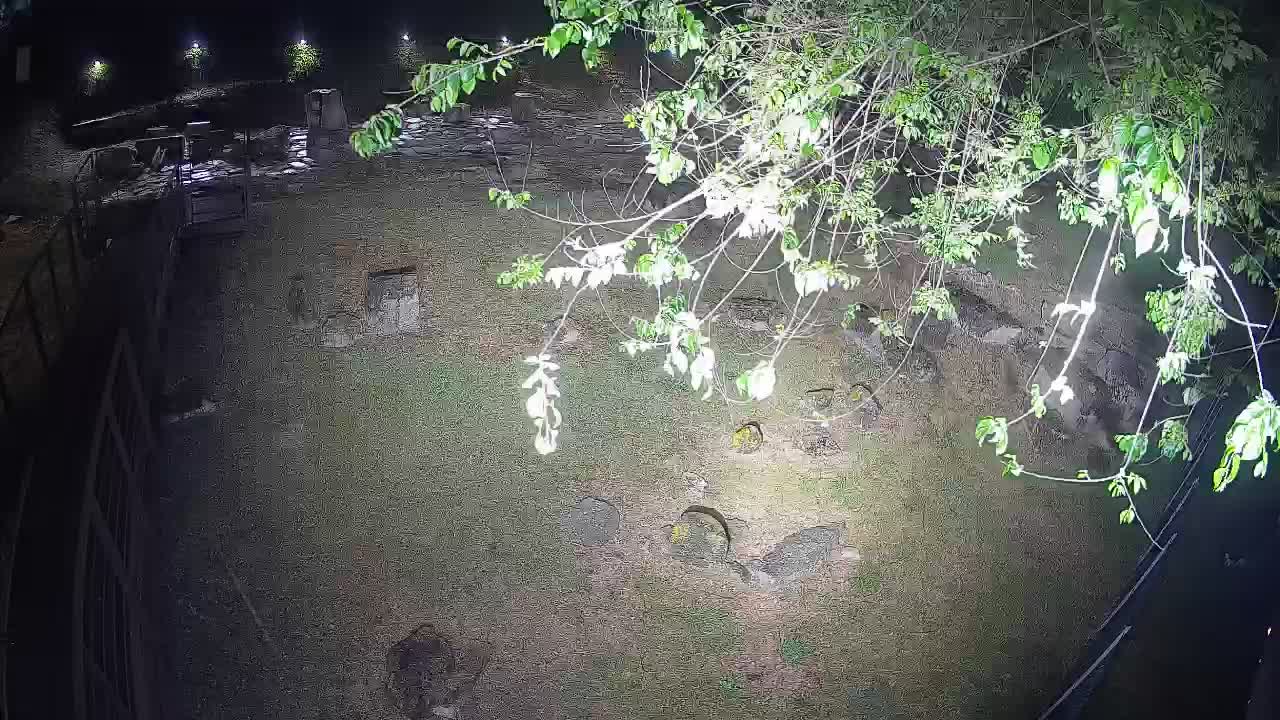 Aquileia – Decumano di Aratria Galla