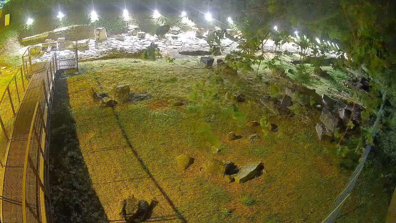 Aquileia – Decumano di Aratria Galla
