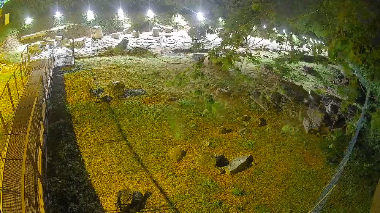 Aquileia – Decumano di Aratria Galla