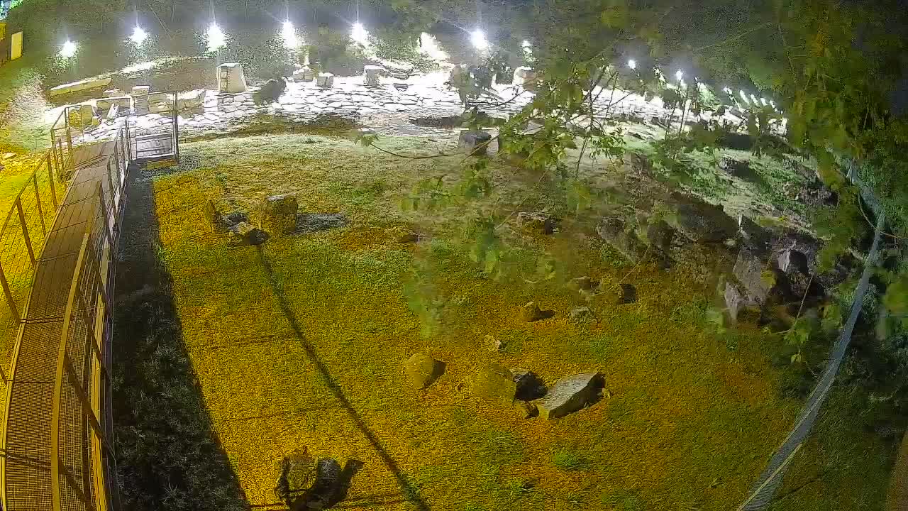 Aquileia – Decumano di Aratria Galla