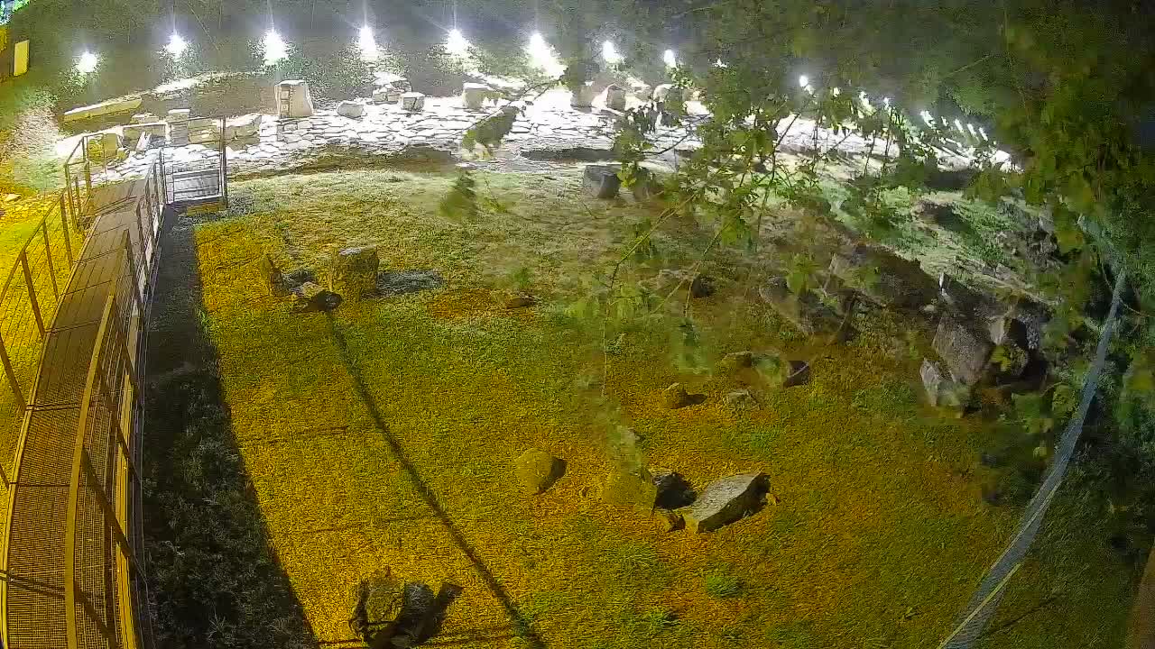 Aquileia – Decumano di Aratria Galla