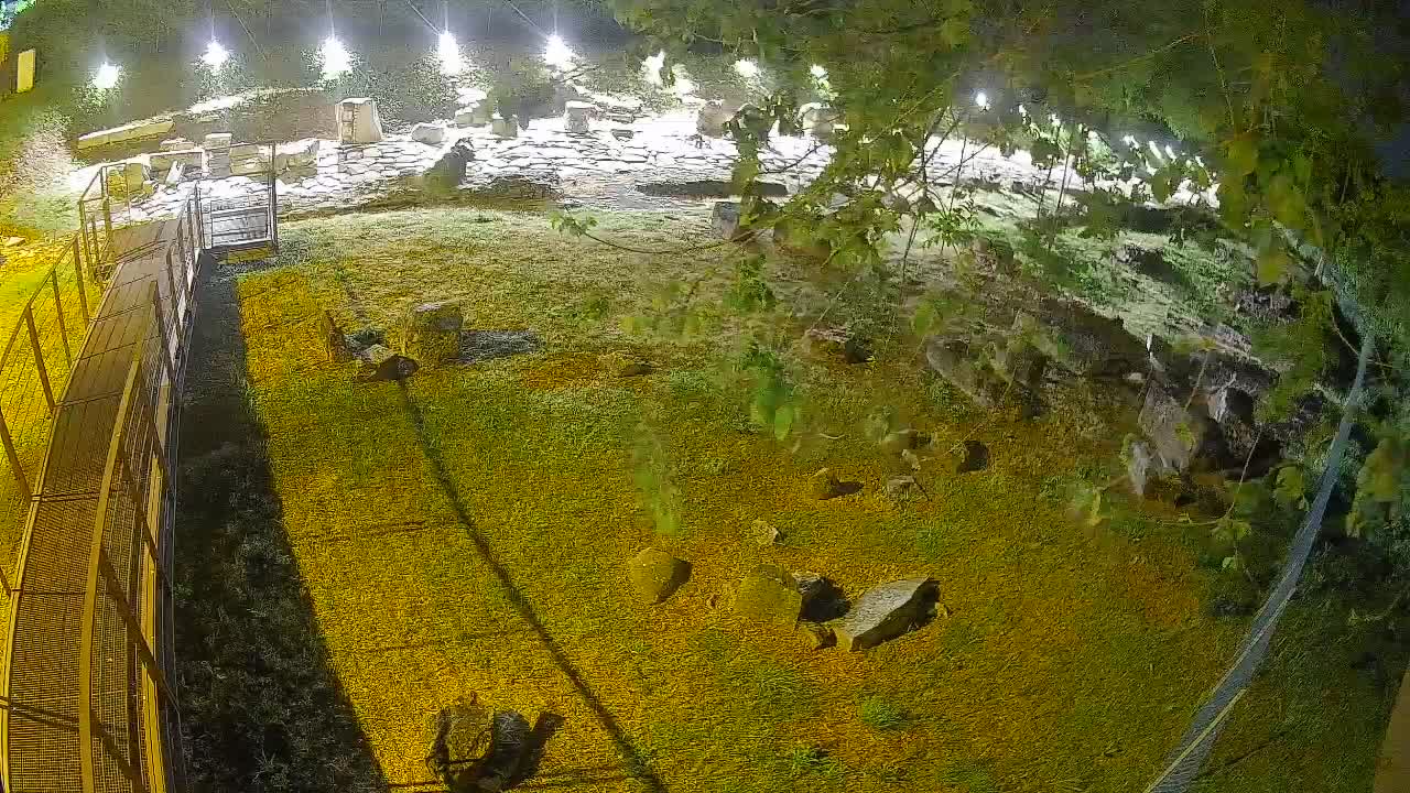Aquileia – Decumano di Aratria Galla