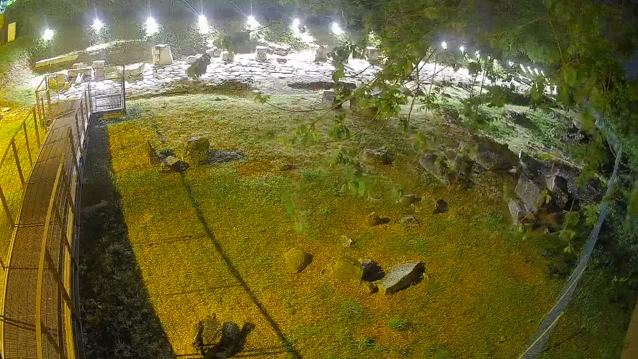 Oglej – Decumano Aratria Galla