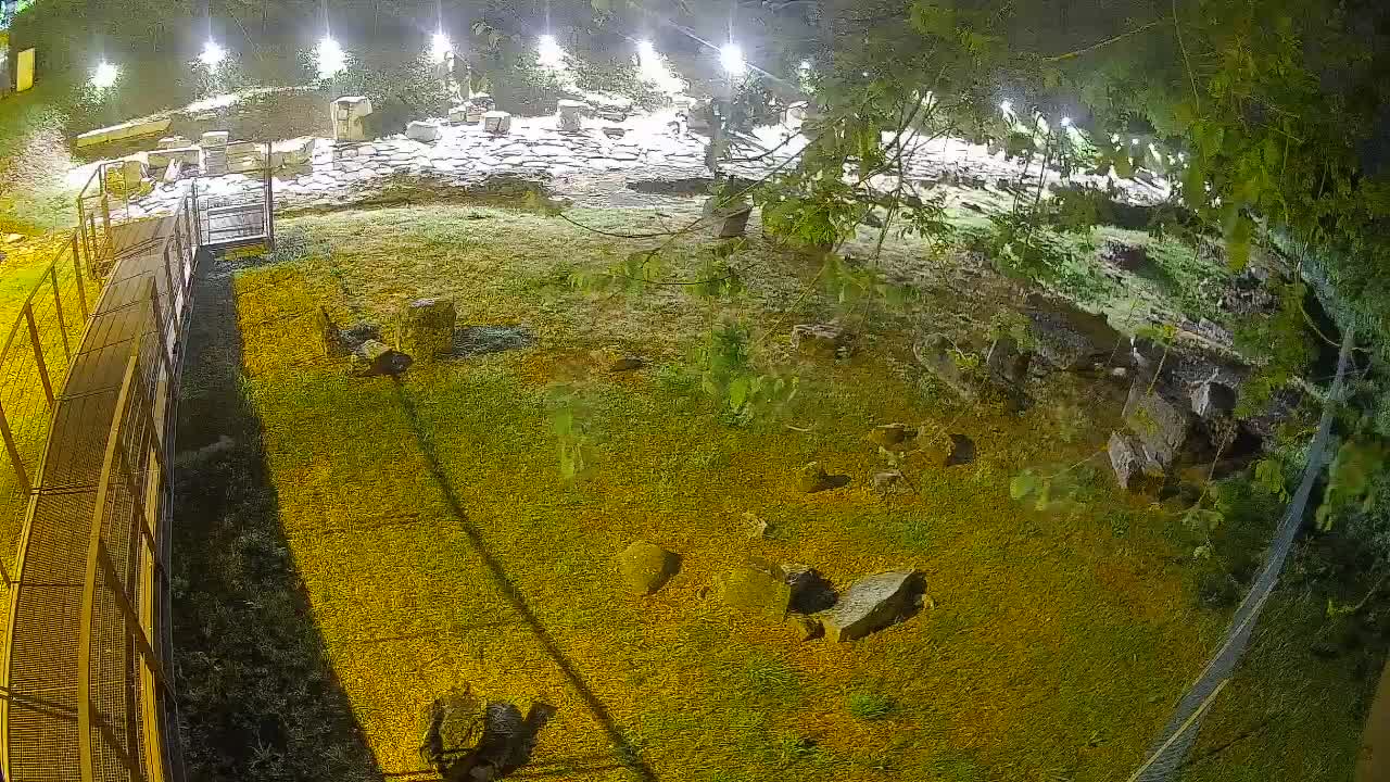 Aquileia – Decumano di Aratria Galla