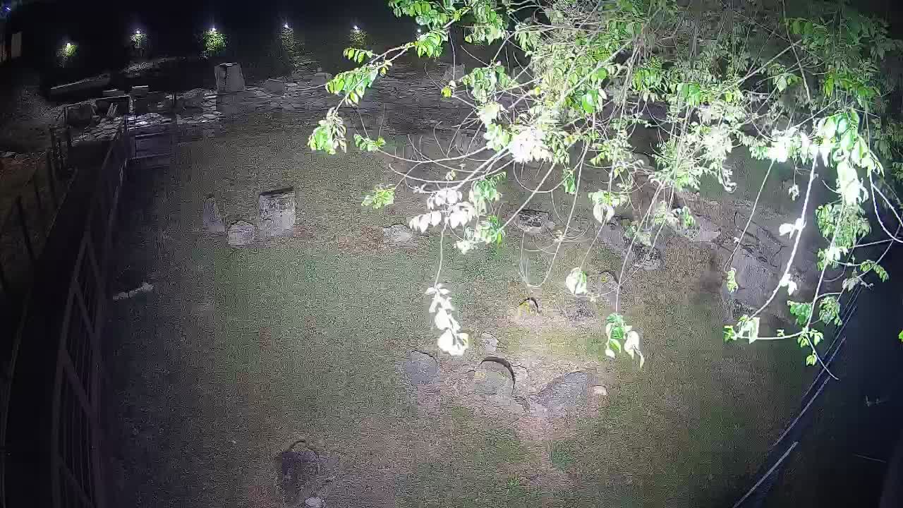 Aquileia – Decumano di Aratria Galla