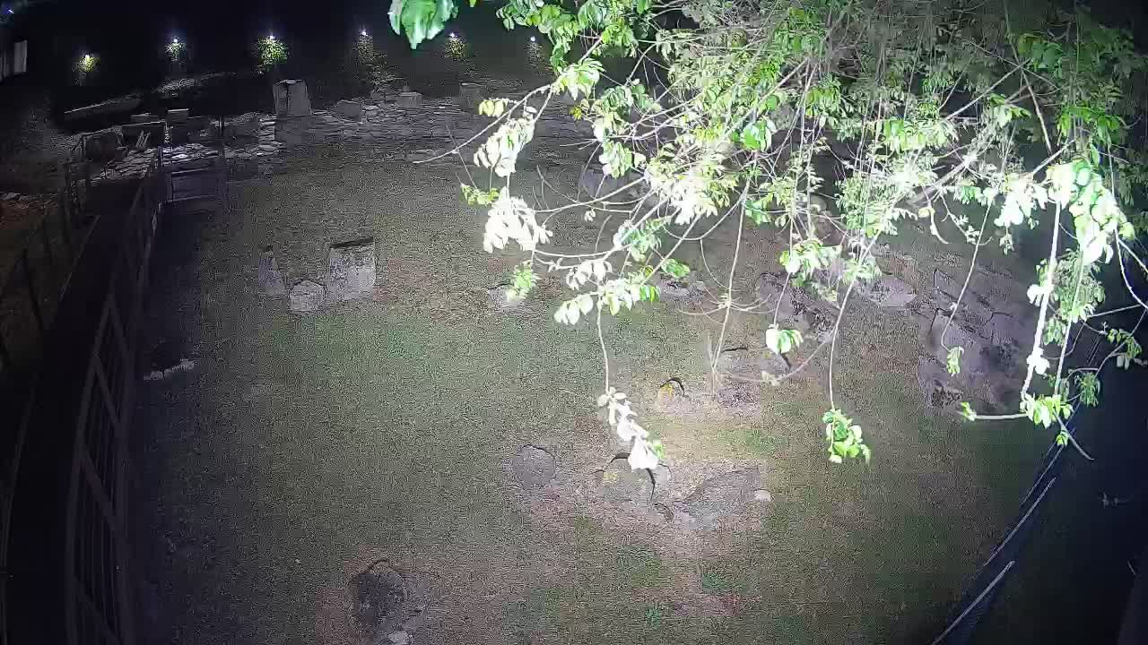 Aquileia – Decumano di Aratria Galla