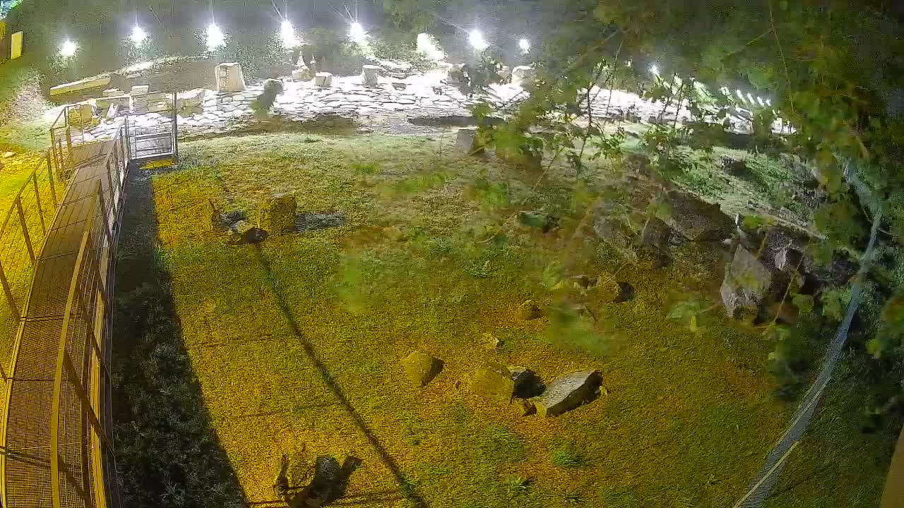 Aquileia – Decumano di Aratria Galla