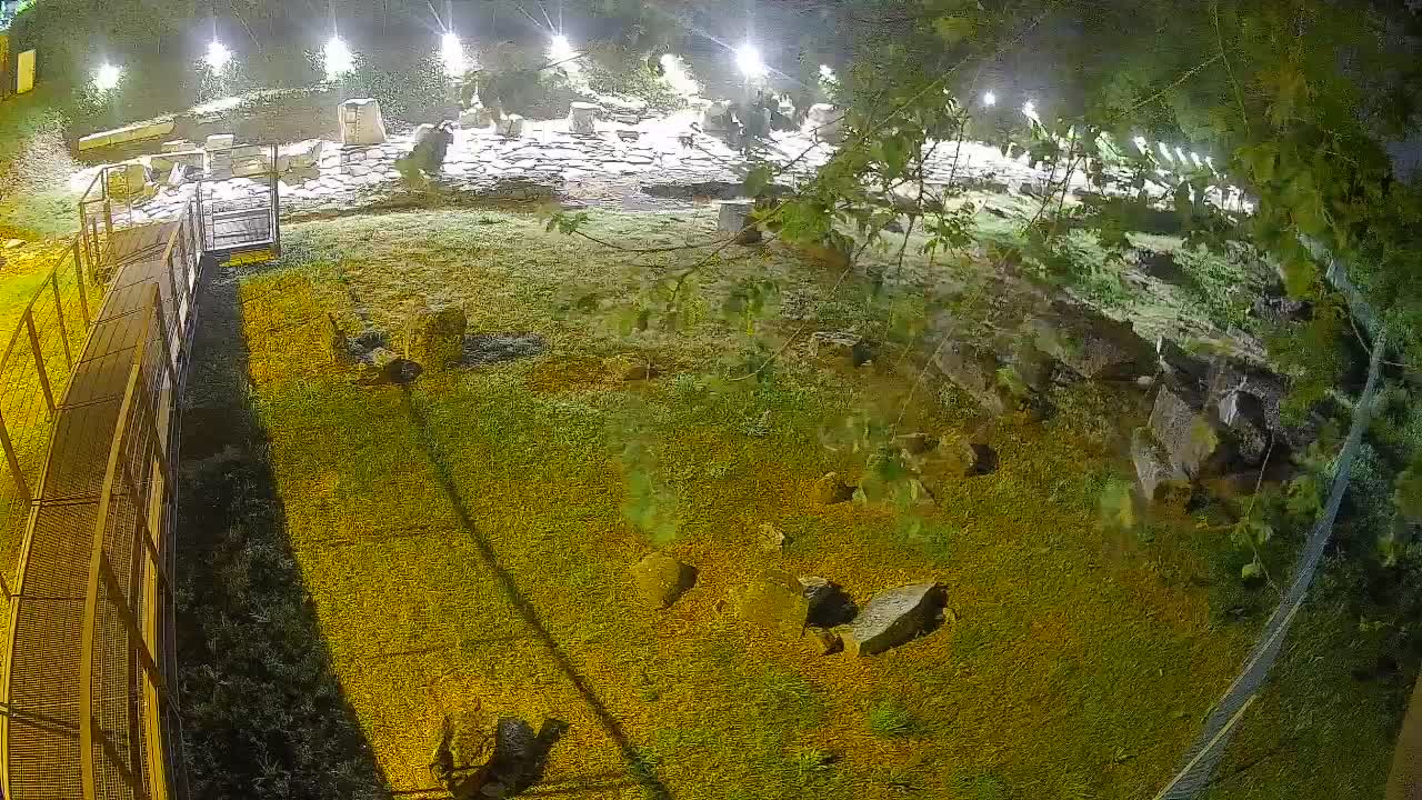 Aquileia – Decumano di Aratria Galla