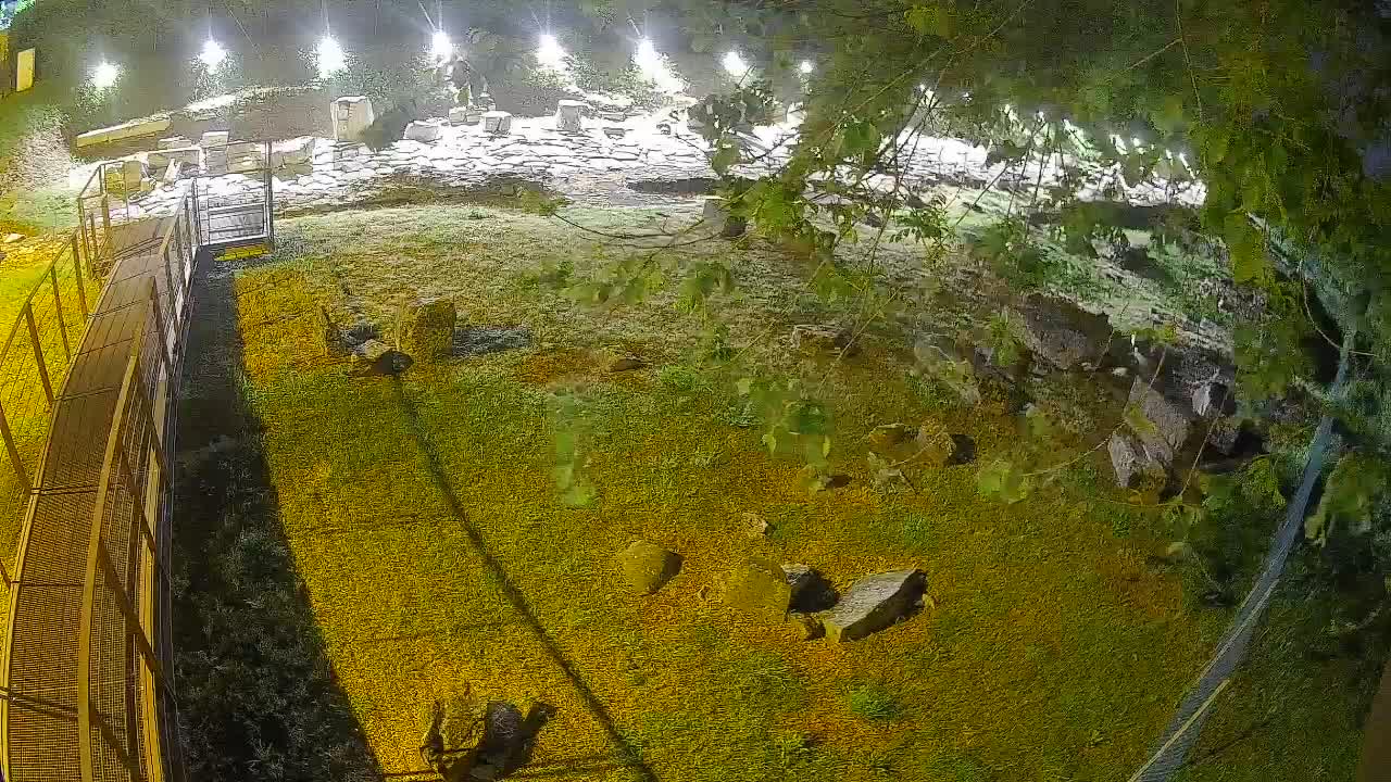 Aquileia – Decumano di Aratria Galla