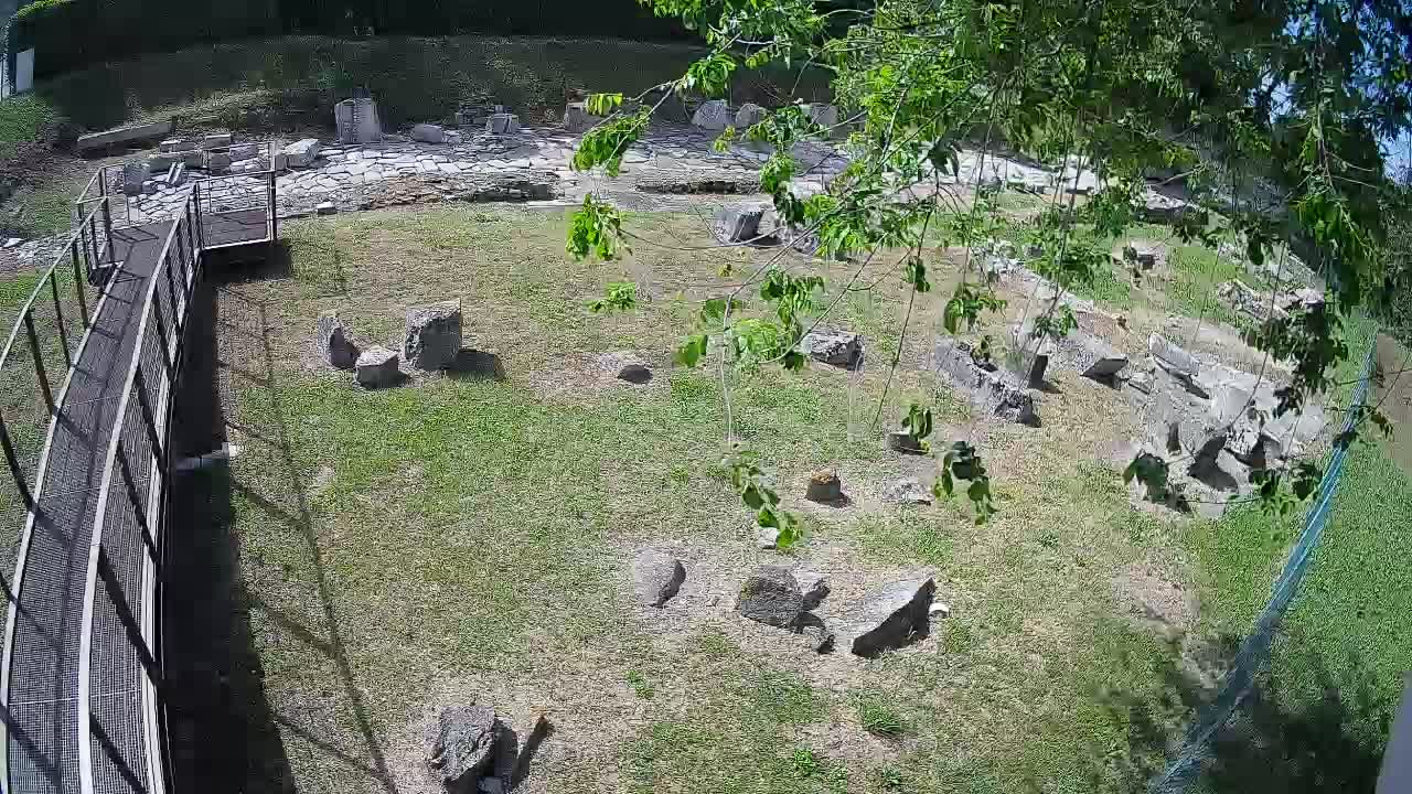 Aquileia – Decumano di Aratria Galla