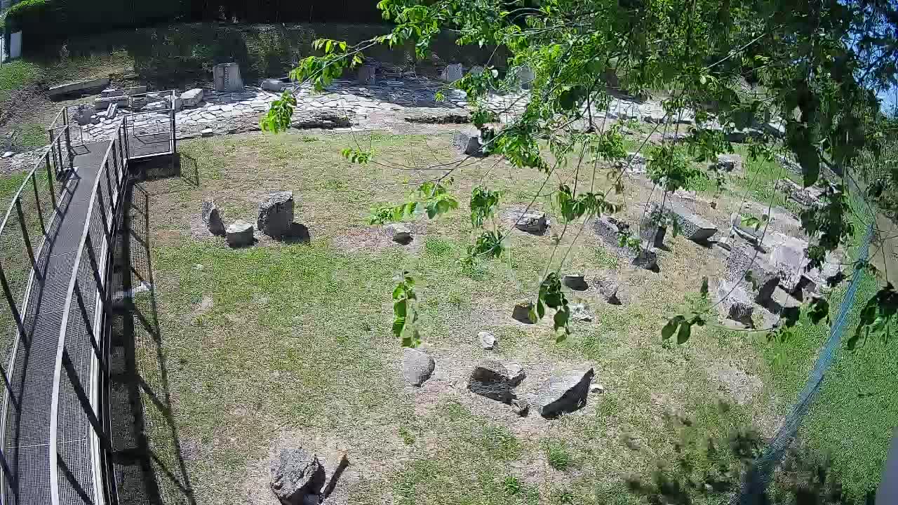 Aquileia – Decumano di Aratria Galla