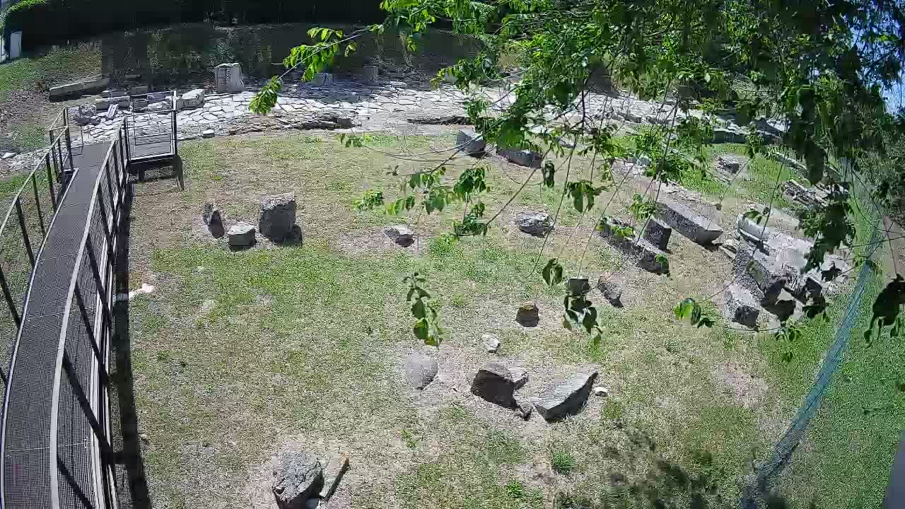 Aquileia – Decumano di Aratria Galla