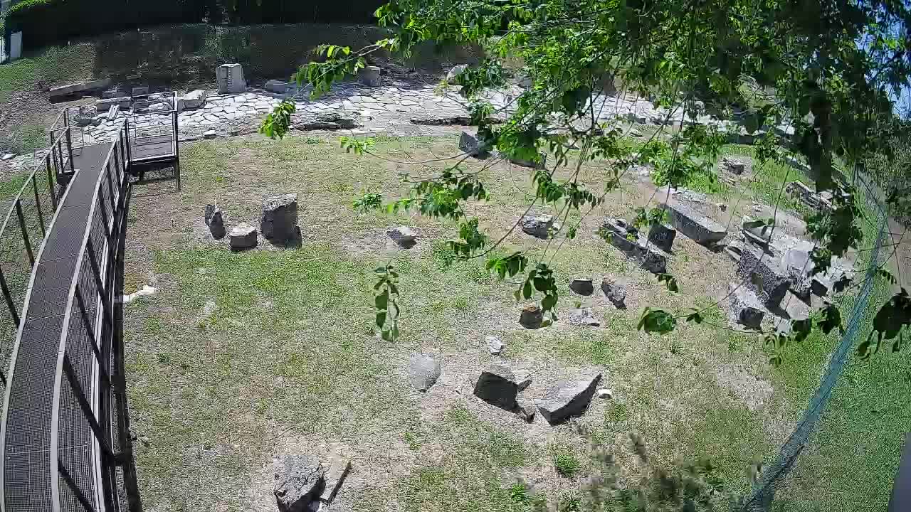 Aquileia – Decumano di Aratria Galla