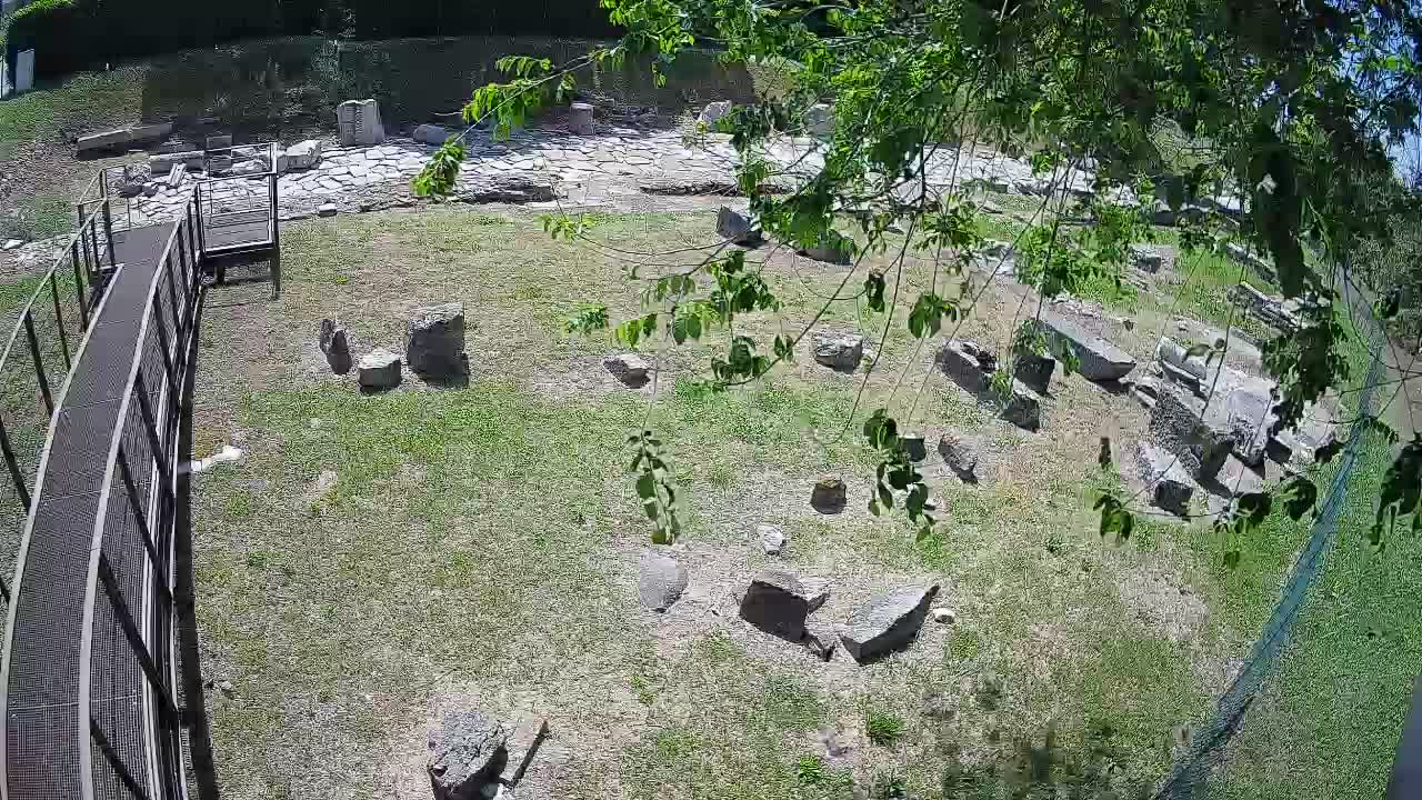 Aquileia – Decumano di Aratria Galla