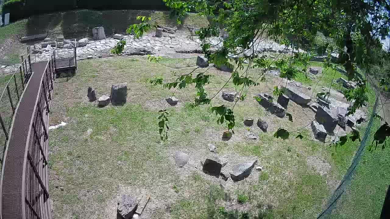 Aquileia – Decumano di Aratria Galla
