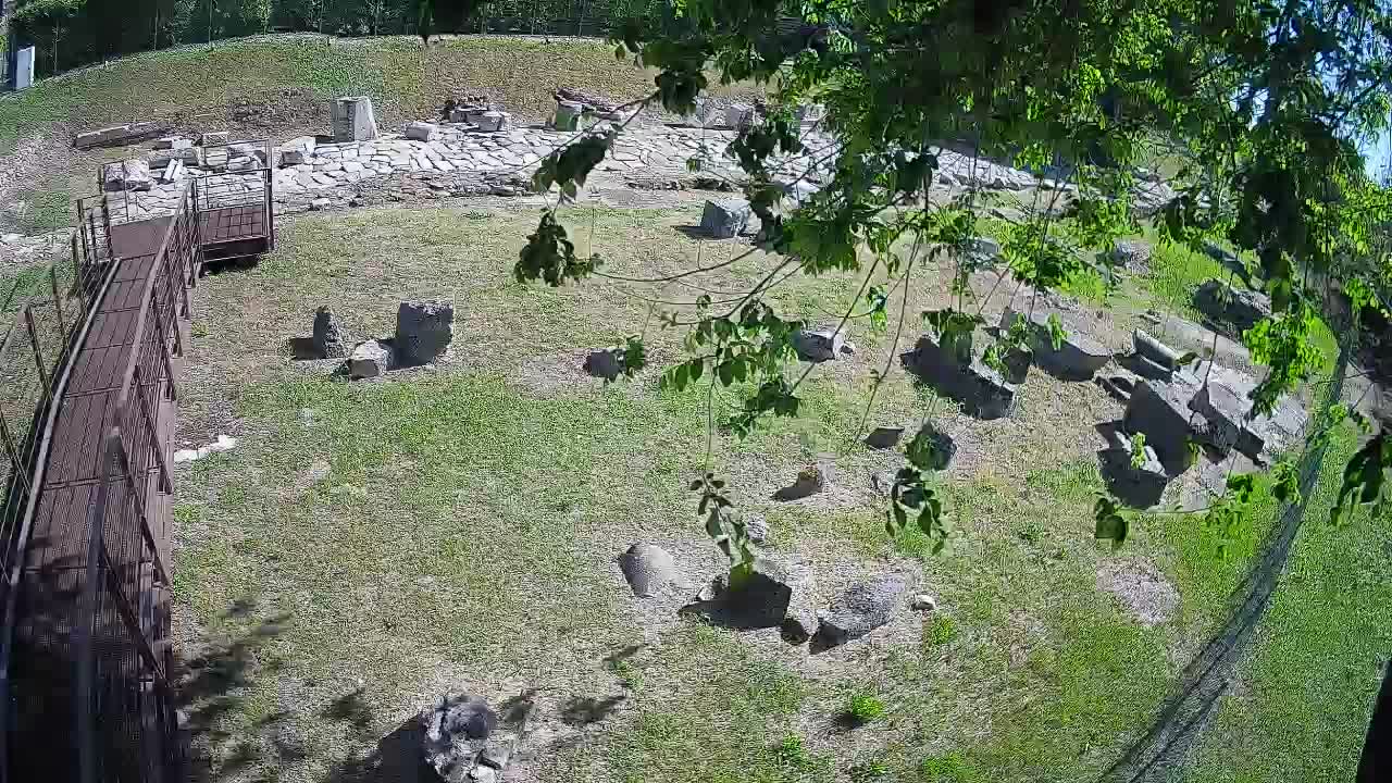 Aquileia – Decumano di Aratria Galla