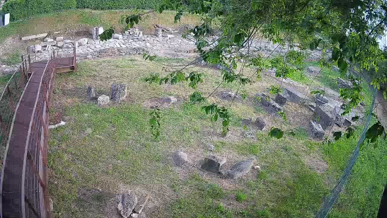 Aquileia – Decumano di Aratria Galla