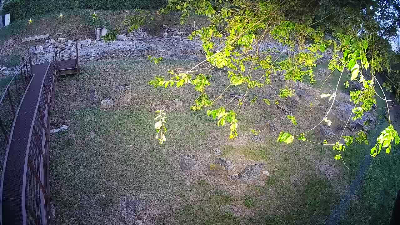 Aquileia – Decumano di Aratria Galla