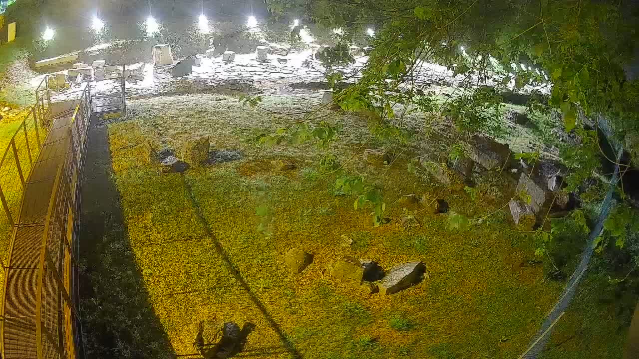 Oglej – Decumano Aratria Galla