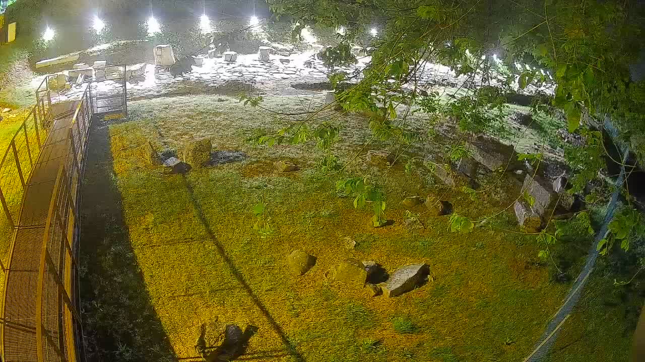 Akvileja – Decumano di Aratria Galla