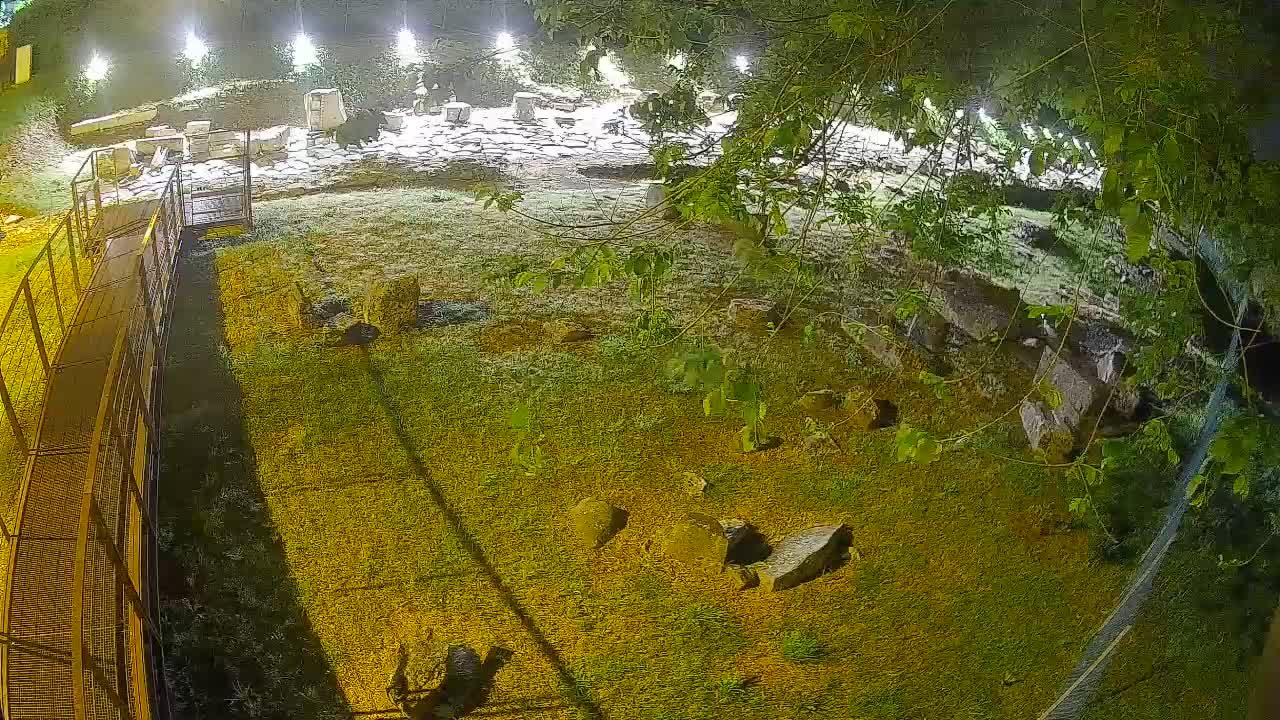 Aquileia – Decumano di Aratria Galla