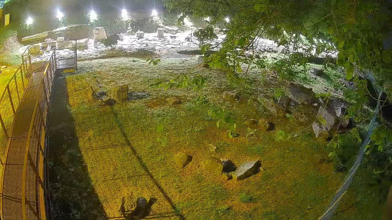 Akvileja – Decumano di Aratria Galla