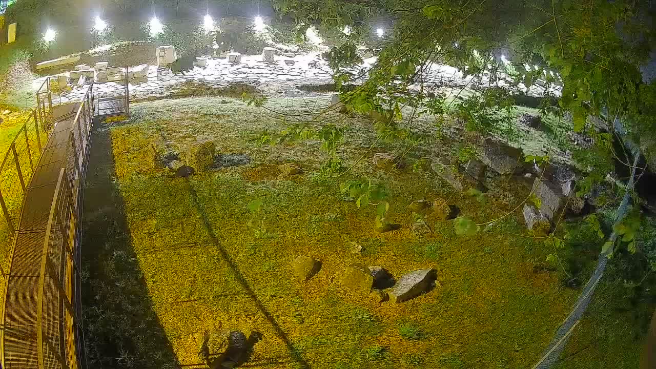Aquileia – Decumano di Aratria Galla