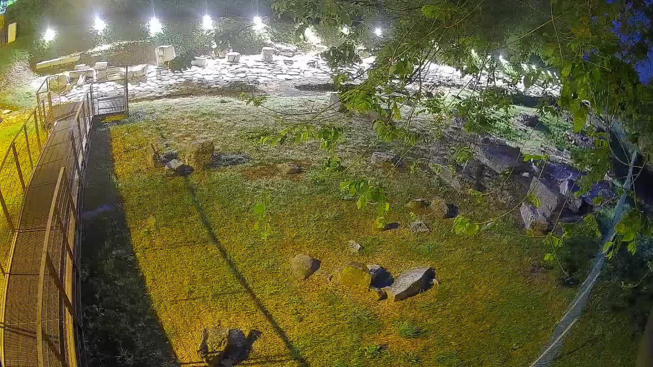 Aquileia – Decumano di Aratria Galla