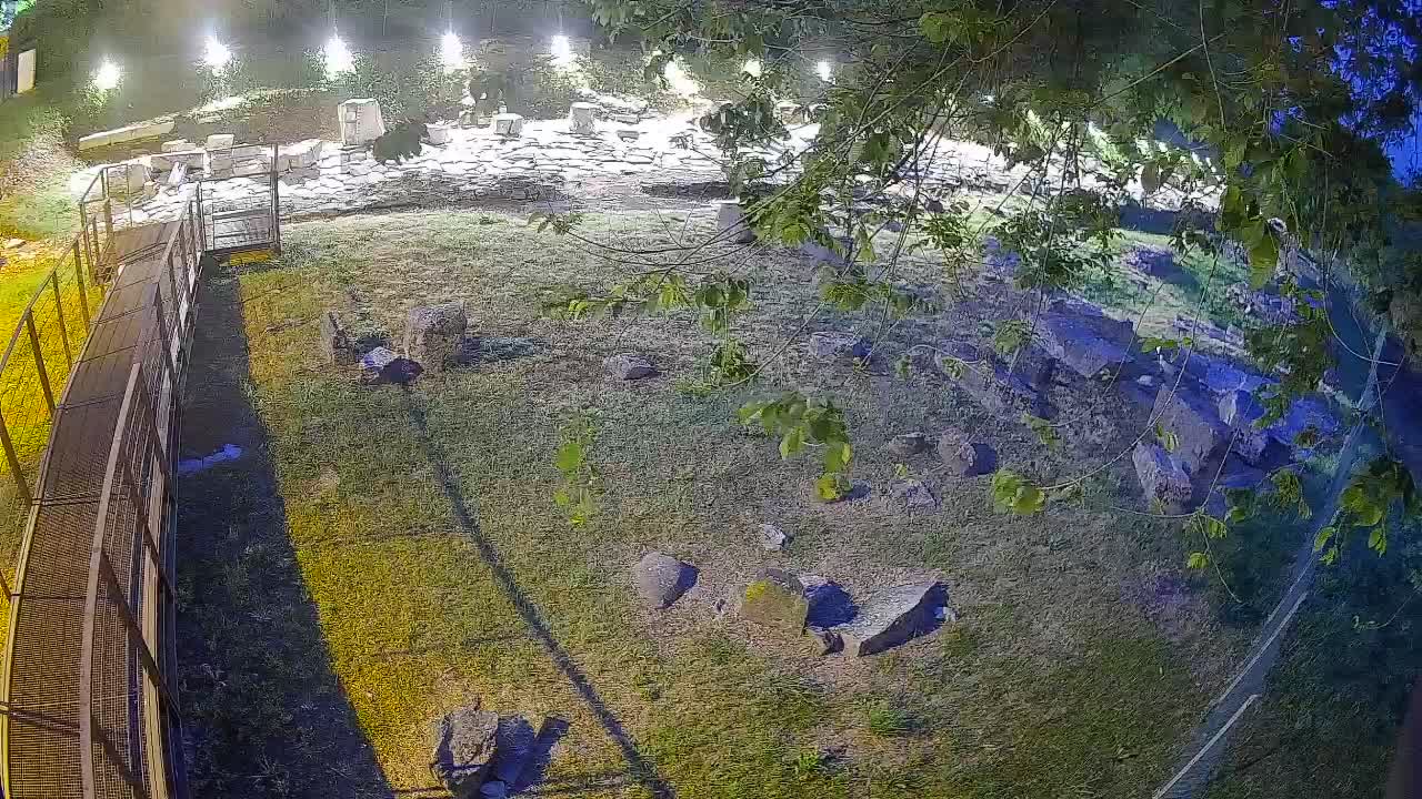 Aquileia – Decumano di Aratria Galla