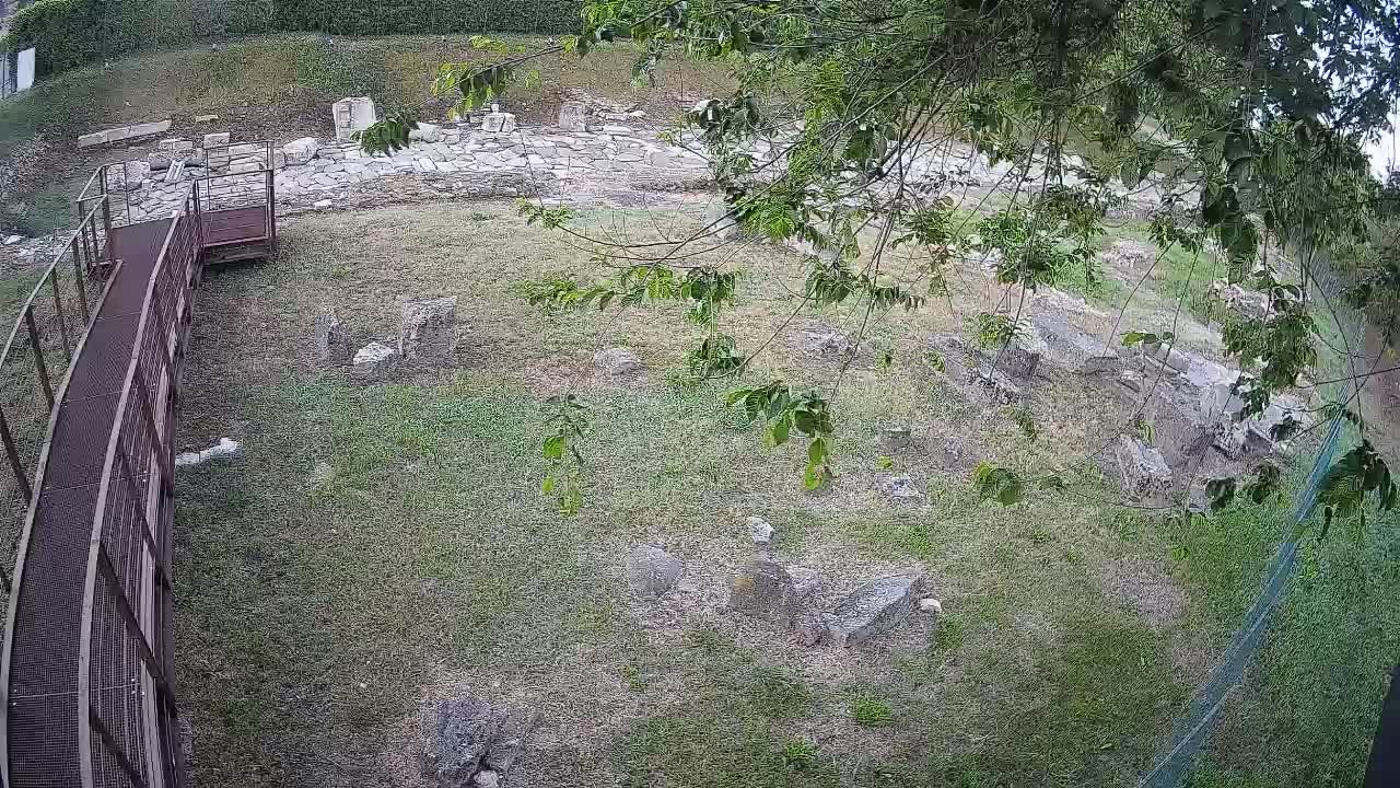 Akvileja – Decumano di Aratria Galla
