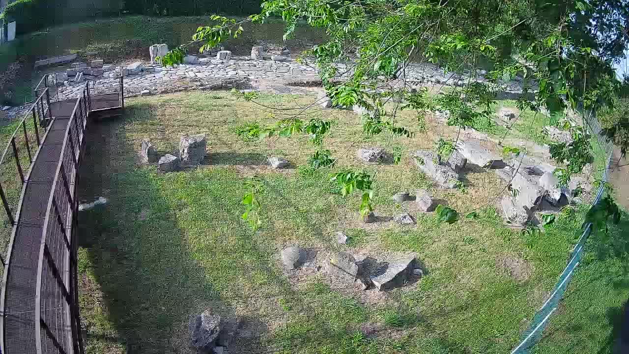 Aquileia – Decumano di Aratria Galla