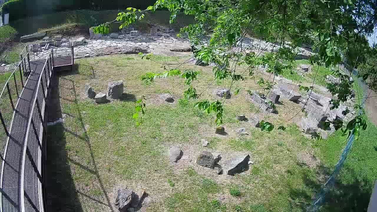Aquileia – Decumano di Aratria Galla