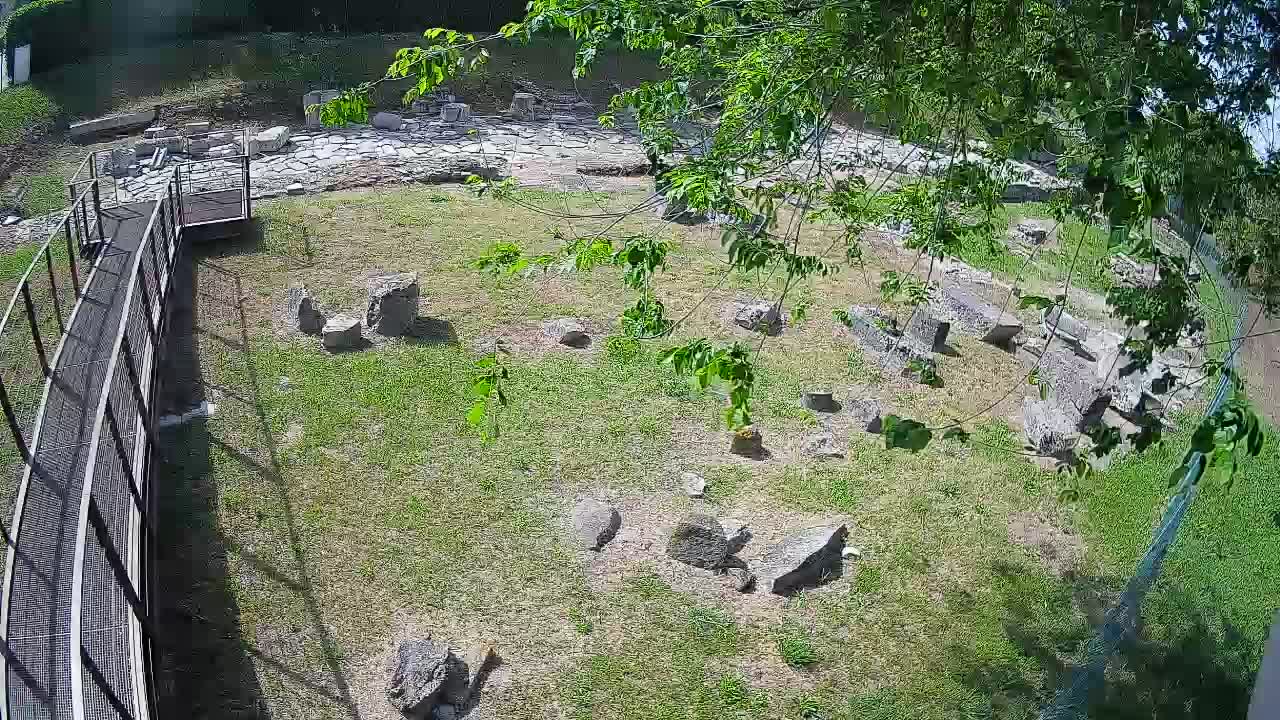 Aquileia – Decumano di Aratria Galla